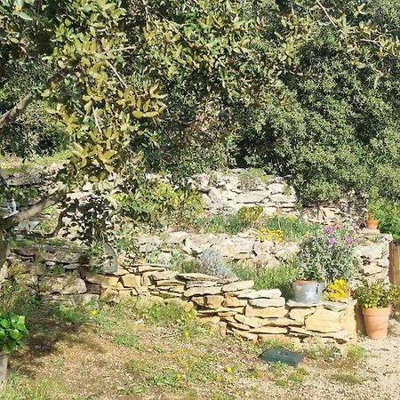 Maisonnette Chez L'Habitant La Ciotat Exteriör bild